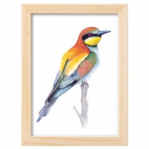 <strong>BIENENFRESSER</strong> <br>Aquarell - Fine Art Print