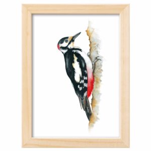 <strong>BUNTSPECHT</strong> <br>Aquarell - Fine Art Print