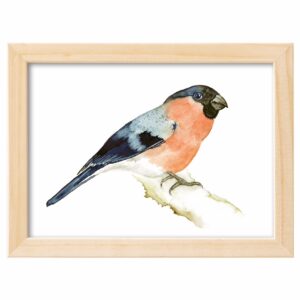 <strong>DOMPFAFF</strong> <br>Aquarell - Fine Art Print