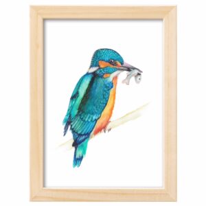 <strong>EISVOGEL</strong> <br>Aquarell - Fine Art Print