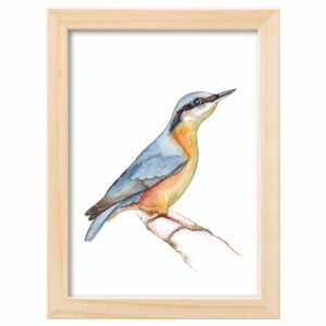 <strong>KLEIBER</strong> <br>Aquarell - Fine Art Print