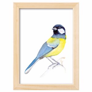 <strong>KOHLMEISE</strong> <br>Aquarell - Fine Art Print