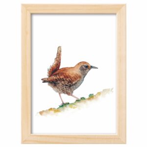 <strong>ZAUNKÖNIG</strong> <br>Aquarell - Fine Art Print