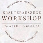 Workshop "KRÄUTERAUSZÜGE"